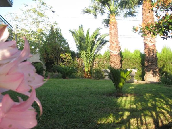 casa indipendente in affitto a Mascali