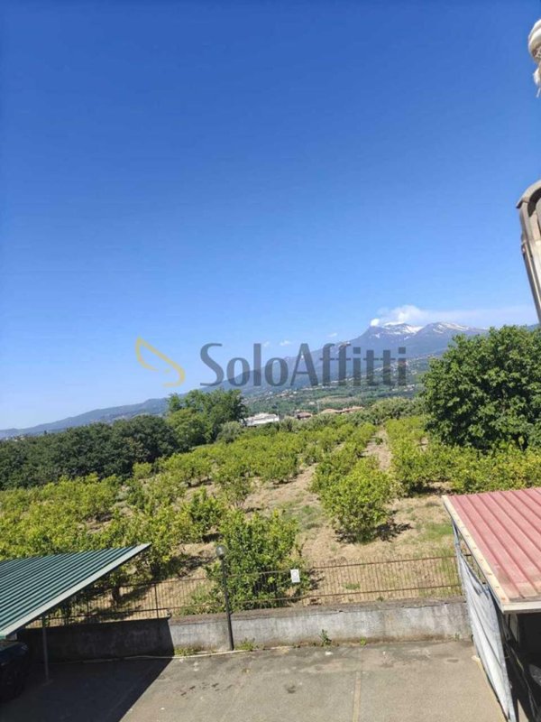 appartamento in affitto a Mascali