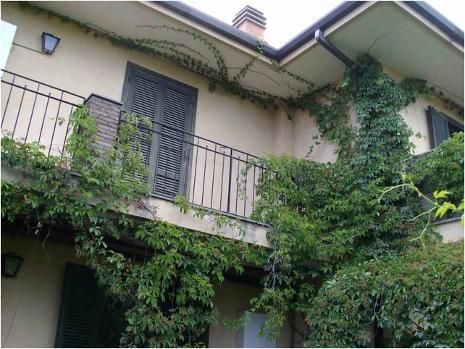 appartamento in affitto a Mascalucia