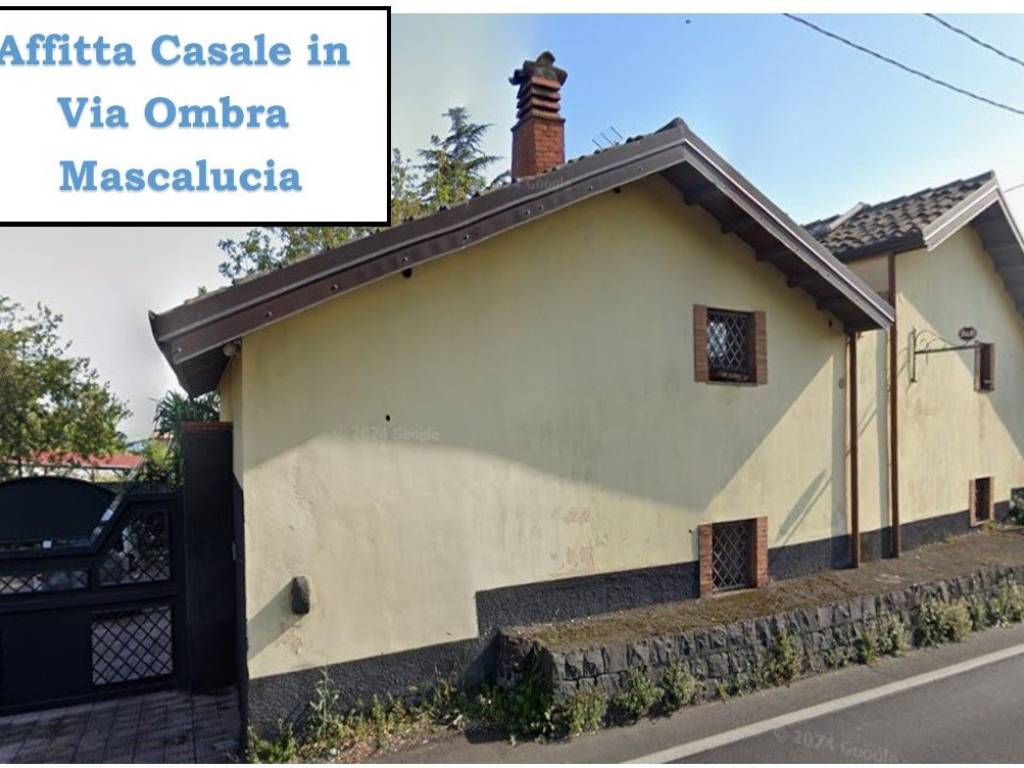 casa indipendente in affitto a Mascalucia