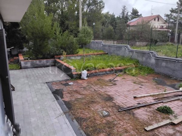 casa indipendente in affitto a Mascalucia