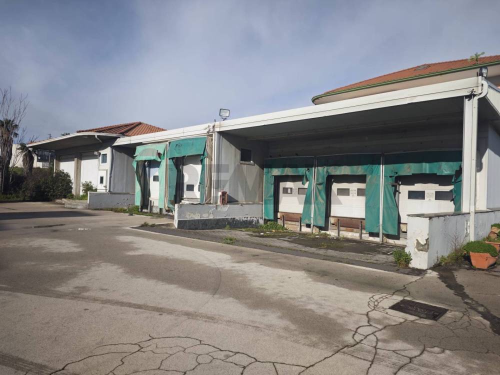 capannone in affitto a Misterbianco in zona Poggio Lupo