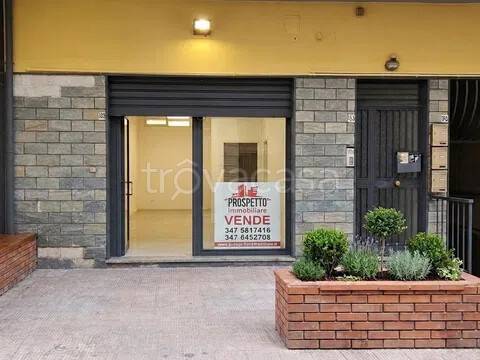 appartamento in affitto a Misterbianco