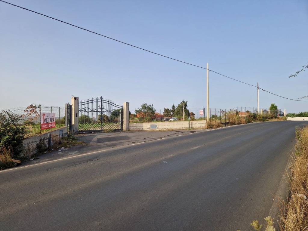 terreno agricolo in affitto a Motta Sant'Anastasia