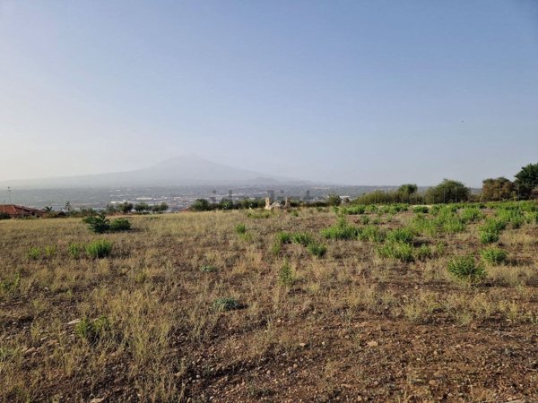 terreno agricolo in affitto a Motta Sant'Anastasia