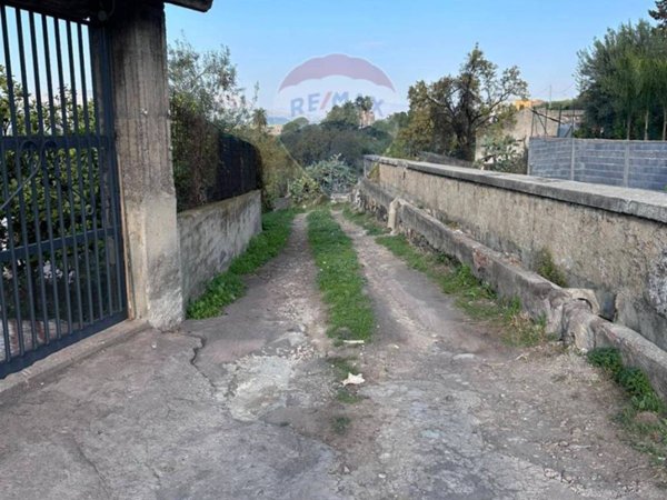 terreno agricolo in affitto a Paternò