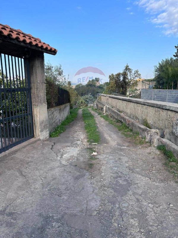 terreno agricolo in affitto a Paternò
