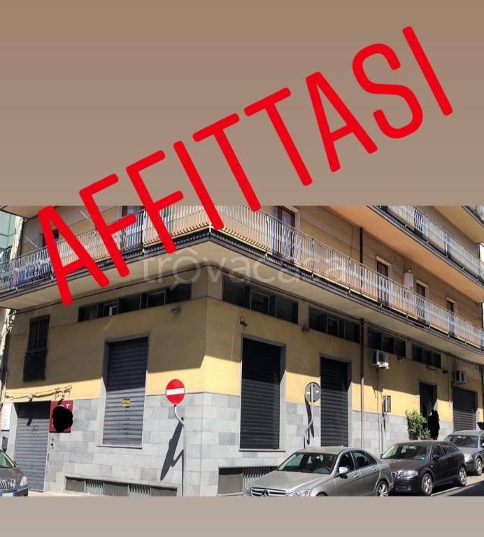 negozio in affitto a Paternò