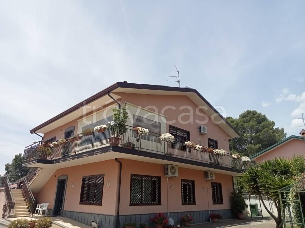 casa indipendente in affitto a Pedara