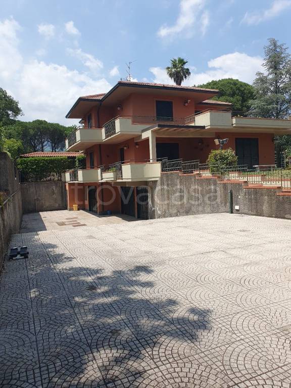 casa indipendente in affitto a Pedara