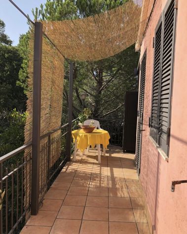 appartamento in affitto a Pedara