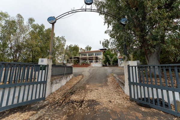 locale commerciale in affitto a San Gregorio di Catania