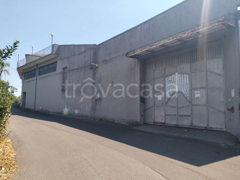 locale commerciale in affitto a Santa Venerina in zona Bongiardo