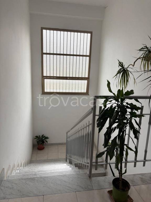 appartamento in affitto a Trecastagni