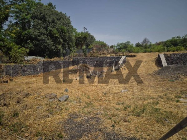 terreno agricolo in affitto a Viagrande