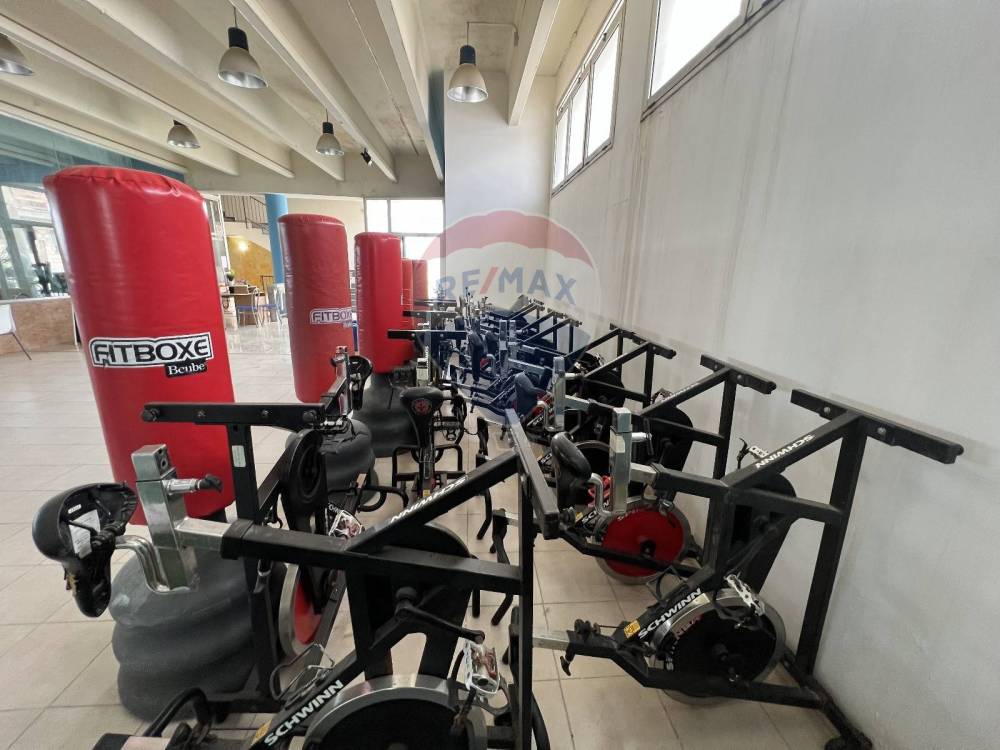 immagine annuncio 0 di 13