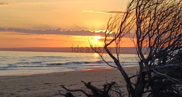 casa indipendente in affitto ad Ispica