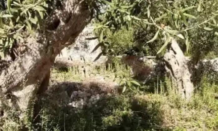 casale in affitto a Modica in zona Zappulla