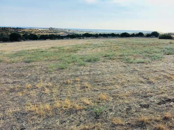 terreno agricolo in affitto a Modica in zona Marina di Modica