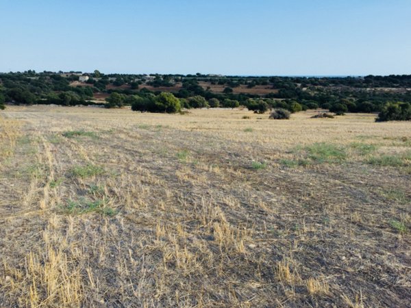 terreno agricolo in affitto a Modica in zona Marina di Modica