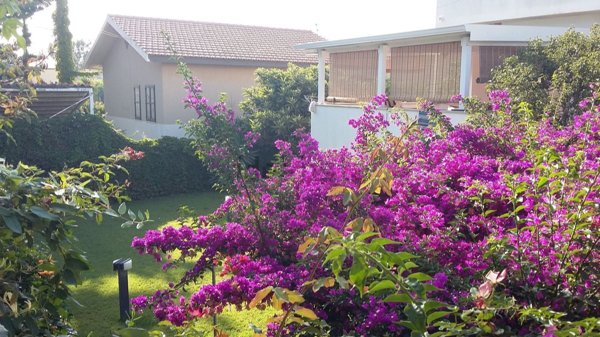 casa indipendente in affitto a Modica