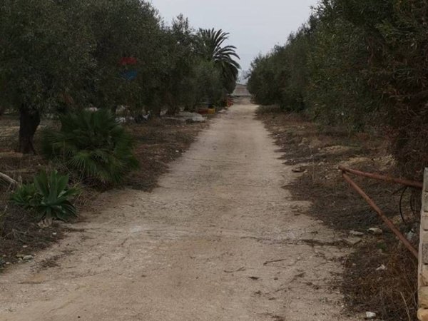terreno agricolo in affitto a Scicli in zona Sampieri