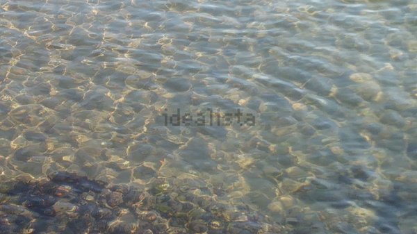 appartamento in affitto a Scicli