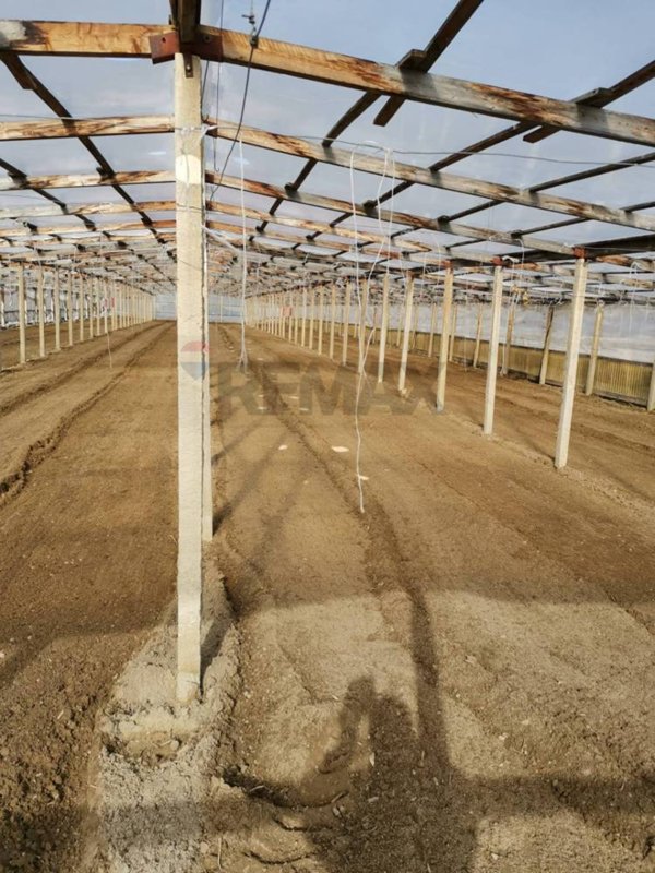 terreno agricolo in affitto a Scicli in zona Sampieri