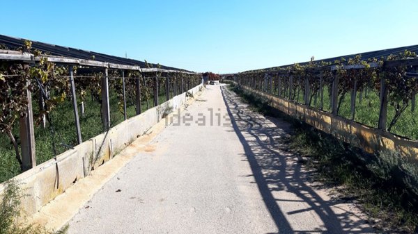 terreno edificabile in affitto a Vittoria