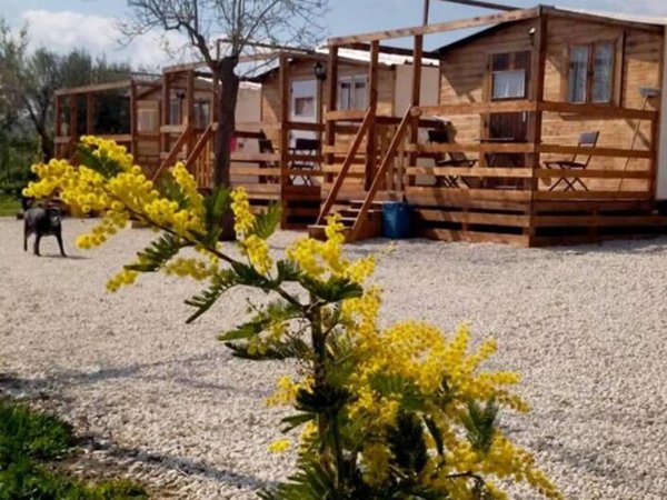 casa indipendente in affitto ad Avola