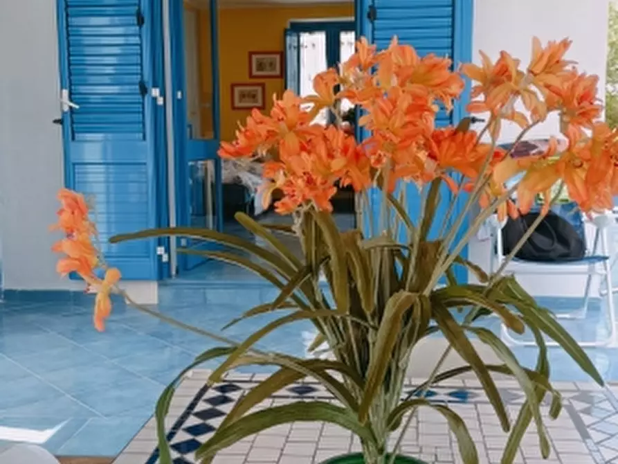 casa indipendente in affitto ad Avola in zona Piccio