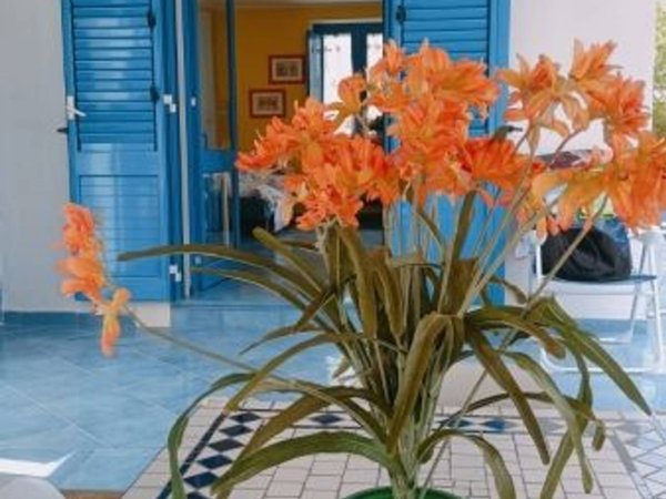 casa indipendente in affitto ad Avola in zona Piccio