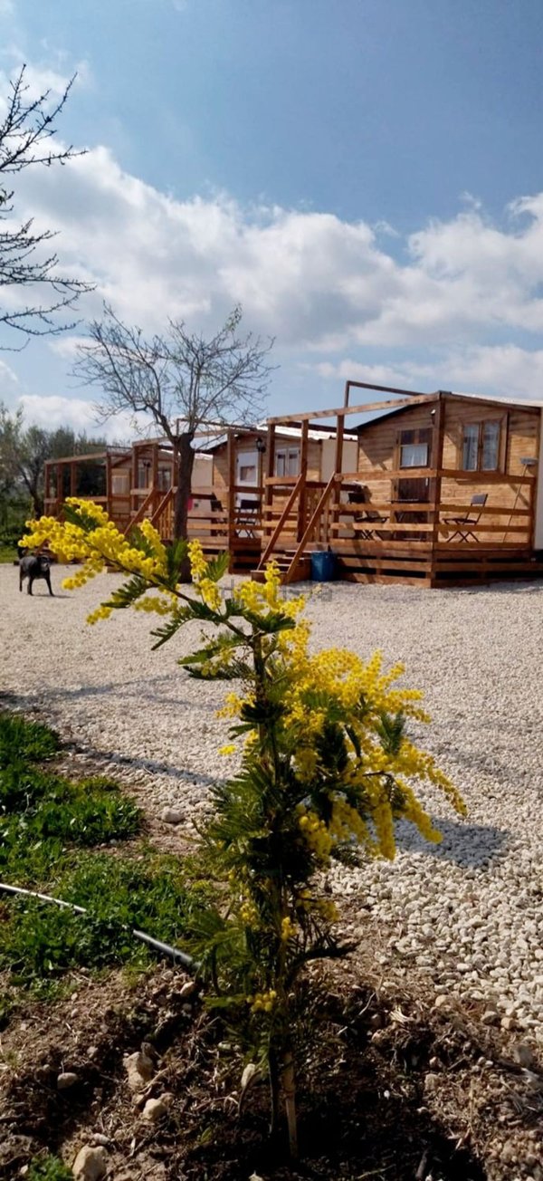 monolocale in affitto ad Avola