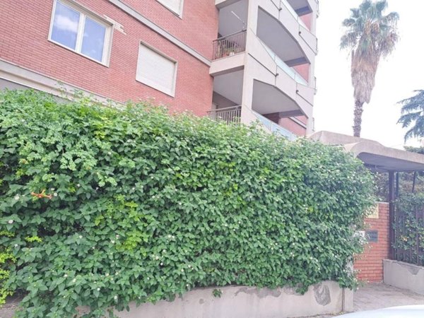 appartamento in affitto a Lentini