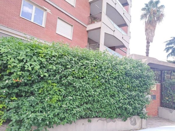 appartamento in affitto a Lentini