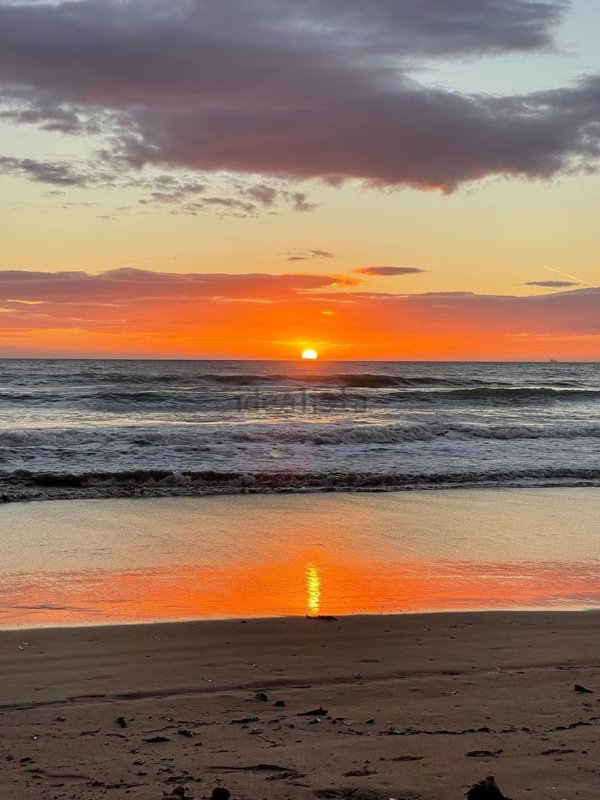 appartamento in affitto a Pachino