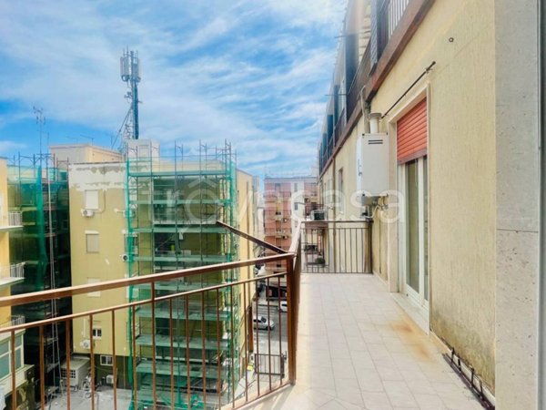 appartamento in affitto a Siracusa