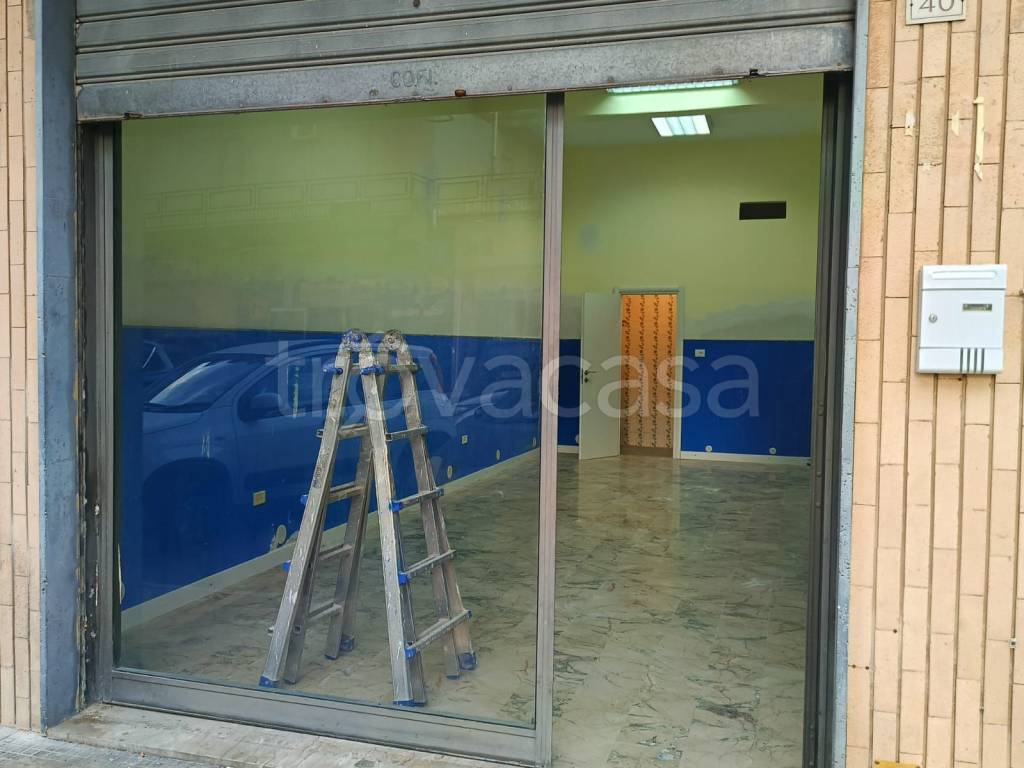 immagine annuncio 0 di 12