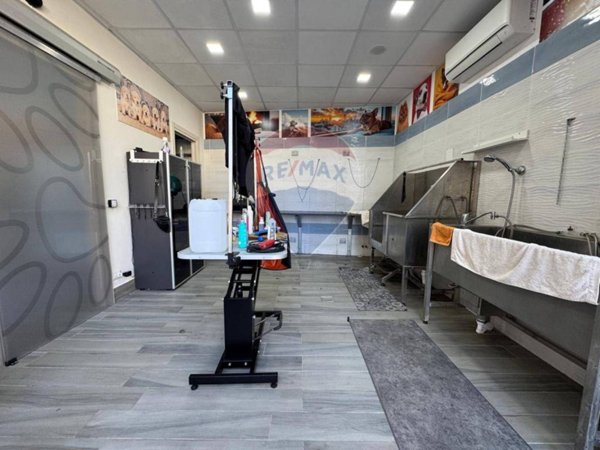 negozio in affitto a Siracusa in zona Scala Greca