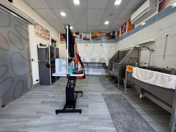 negozio in affitto a Siracusa in zona Scala Greca