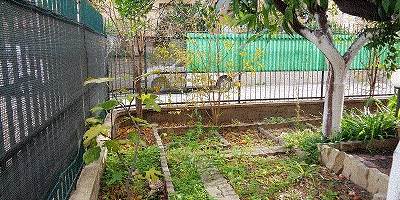 appartamento in affitto a Siracusa in zona Centro Città