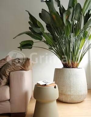 appartamento in affitto a Siracusa in zona Scala Greca