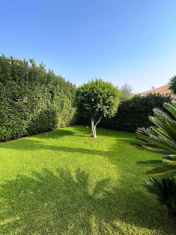 casa indipendente in affitto a Siracusa