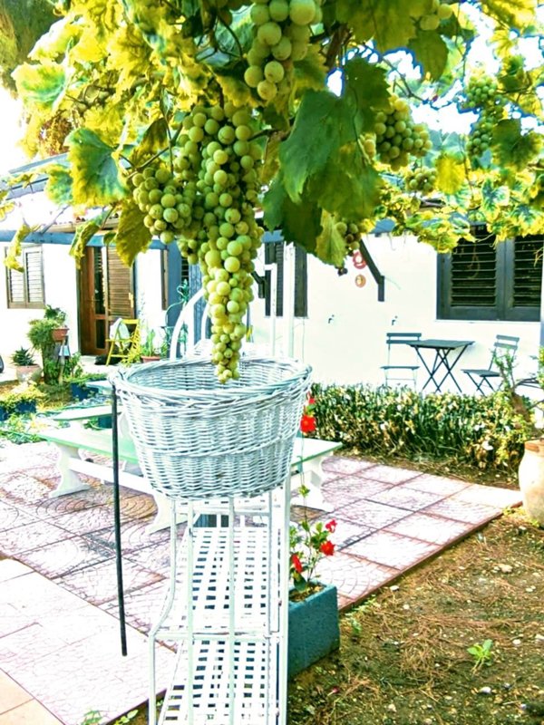 casa indipendente in affitto a Siracusa in zona Centro Città