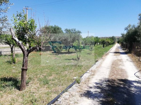 locale commerciale in affitto a Siracusa in zona Belvedere