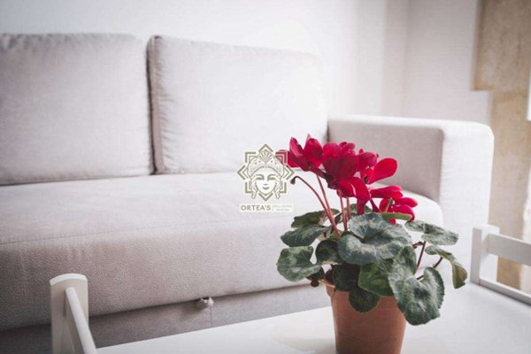 casa indipendente in affitto a Siracusa in zona Isola Ortigia