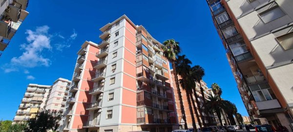 appartamento in affitto a Siracusa
