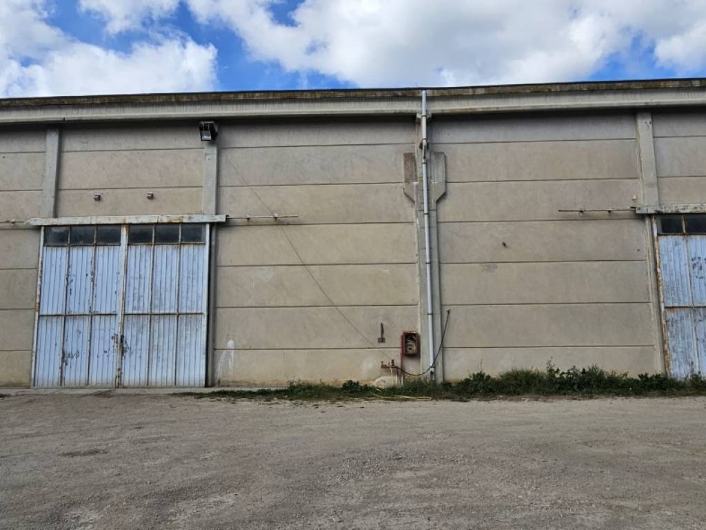 locale commerciale in affitto ad Alghero in zona Fertilia