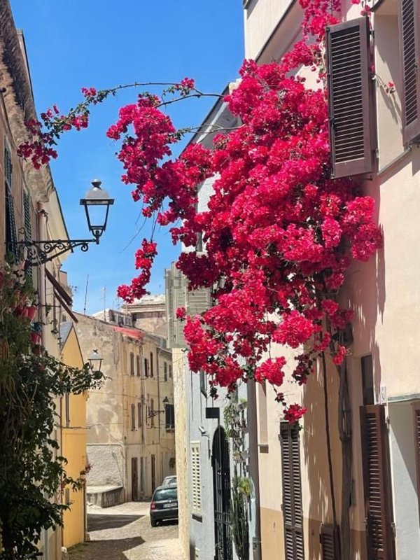 appartamento in affitto ad Alghero in zona Centro Storico