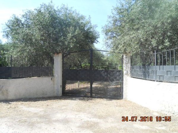 pentavano in affitto ad Alghero